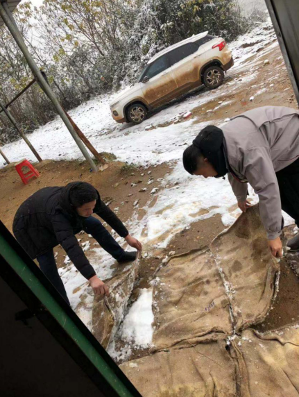 1546572403186973.png bu -8.png